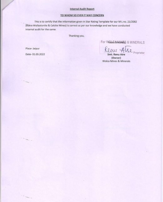 Internal Audit Report