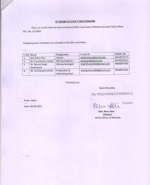 SDF Committee