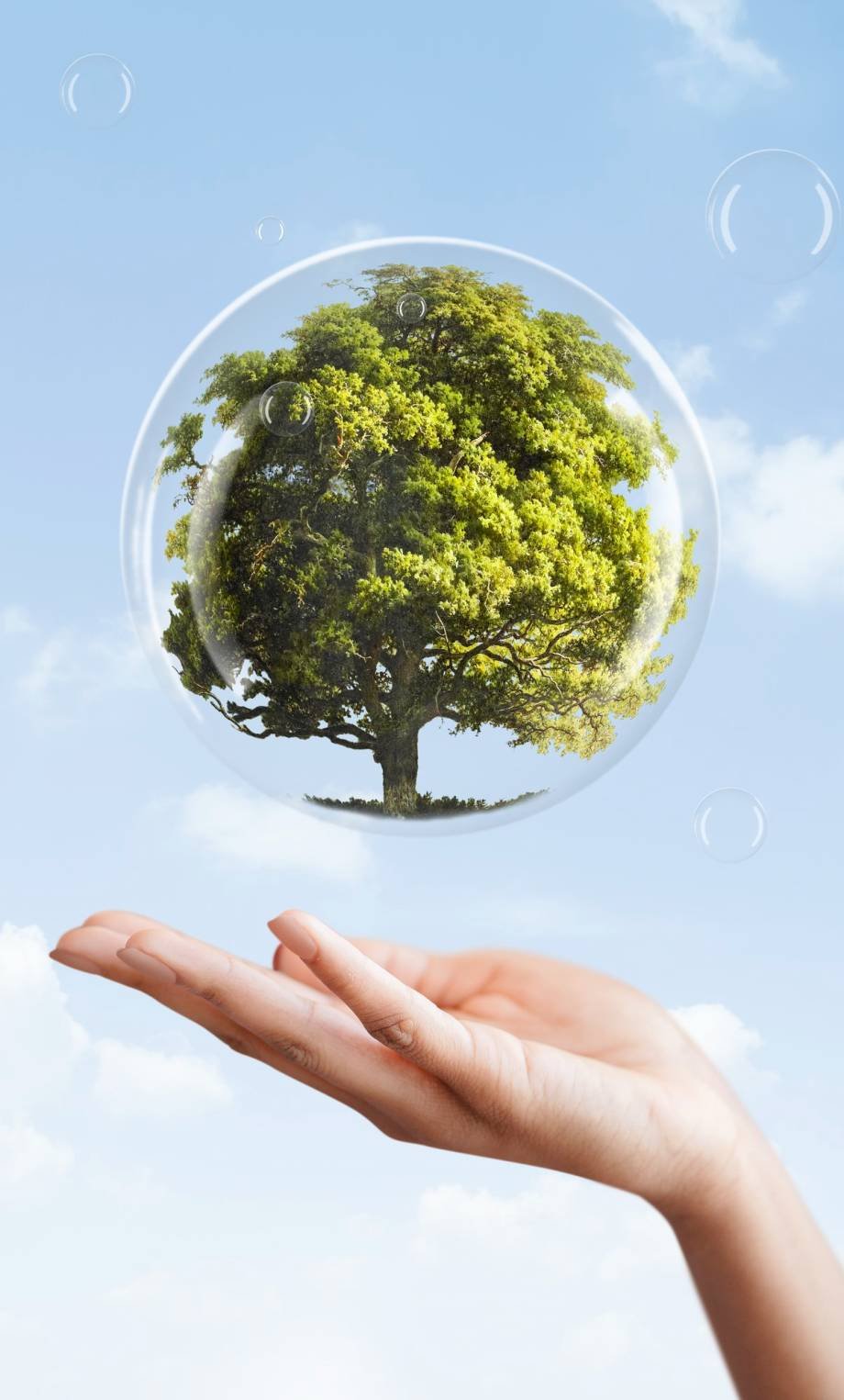 earth-day-campaign-hand-showing-tree-bubble-media-mix earth-day-campaign-hand-showing-tree-bubble-media-mix